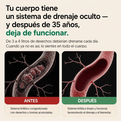 Cápsulas de Drenaje Linfático - Transformación total en 60 días