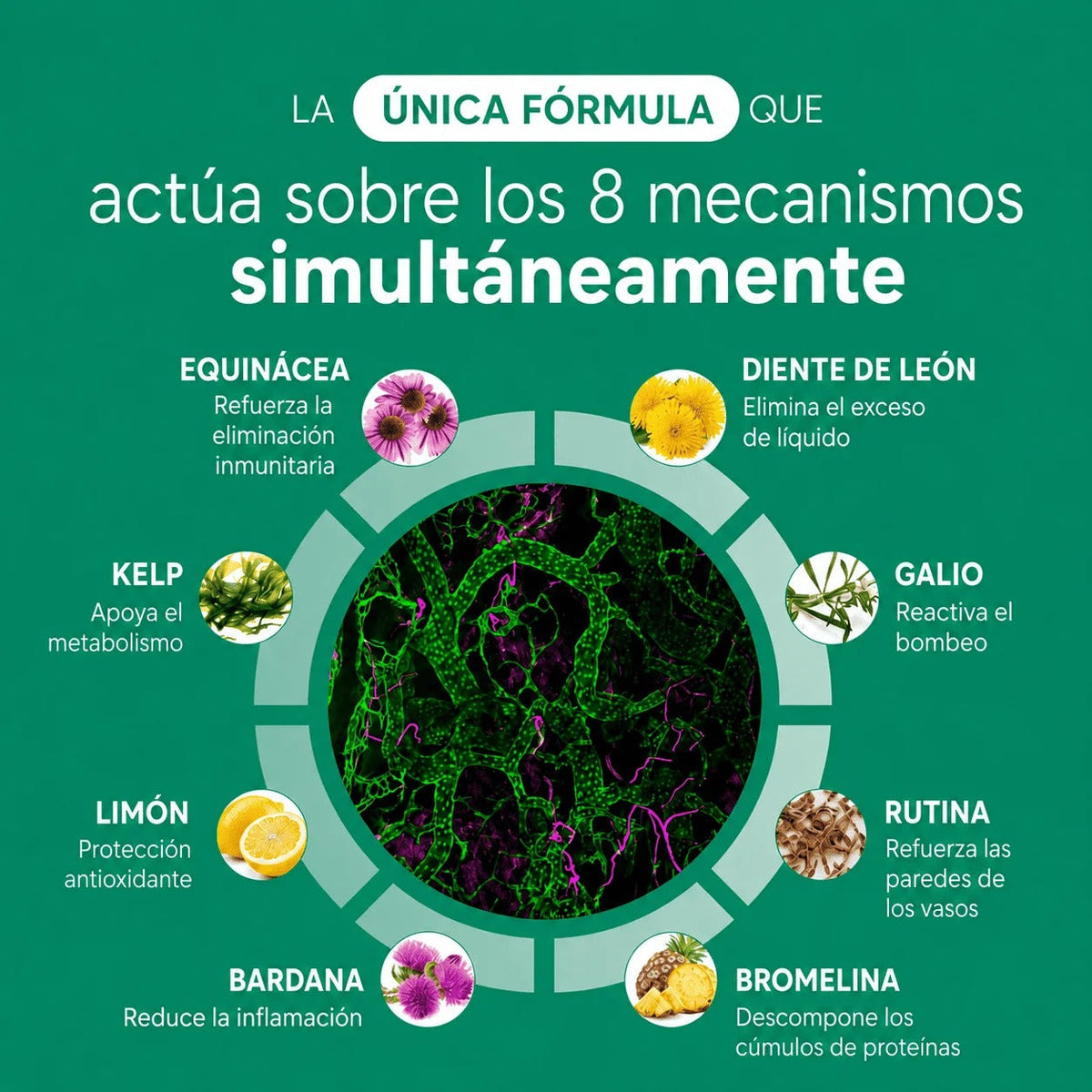Cápsulas de Drenaje Linfático - Transformación total en 60 días